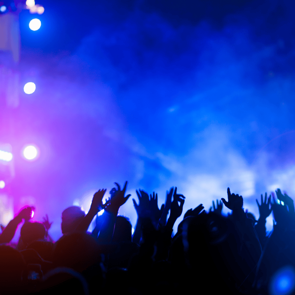 New Wave & Synth Pop Favorites