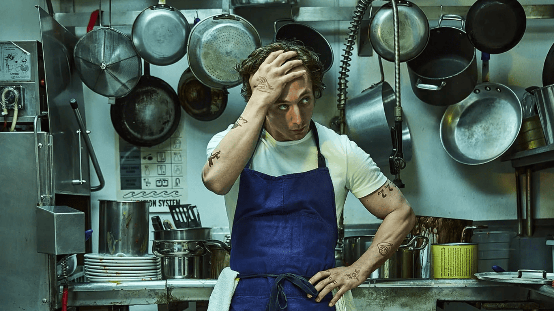 carmy berzatto the bear family tree